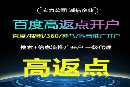 SEM托管公司案例分析：实战技巧全解析