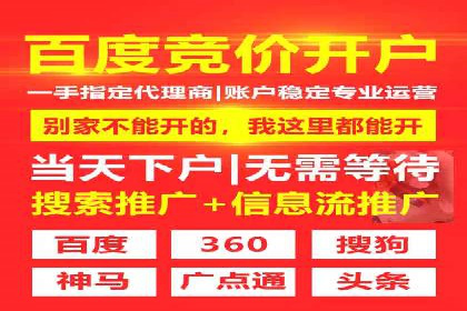优化SEM广告投放：成功案例分享