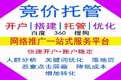 实战经验：SEM网络推广打造行业领军品牌